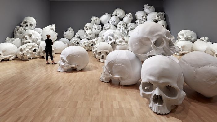 100 Of The Largest Skulls You Have Ever Seen Goes On Display In Australia