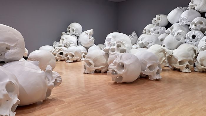 100 Of The Largest Skulls You Have Ever Seen Goes On Display In Australia