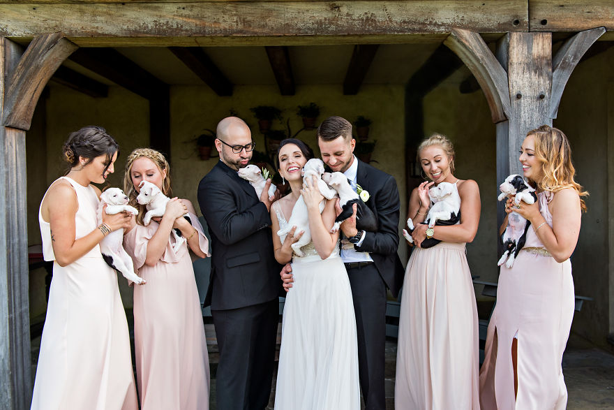 Instead Of Wedding Bouquets This Couple Had A Bunch Of Rescue Puppies And The Pics Turned Out Adorable Instead Of Wedding Bouquets This Couple Had A Bunch Of Rescue Puppies And The Pics Turned Out Adorable
