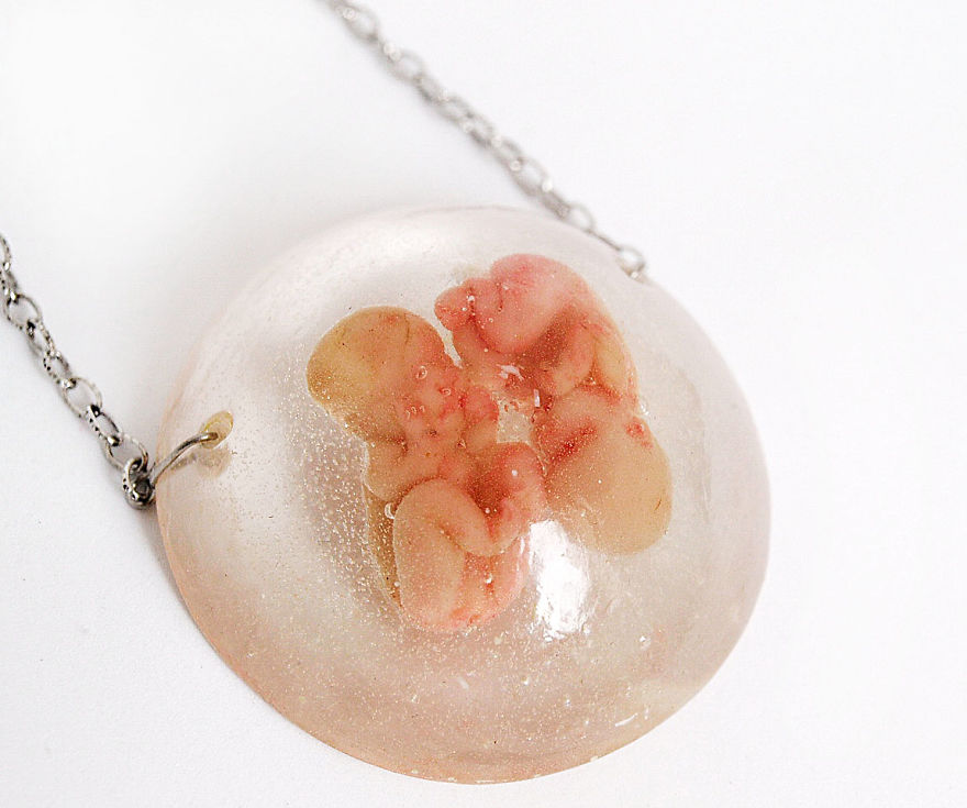 Preserved Life Resin Project I`m Working On Preserved Life Resin Project I`m Working On