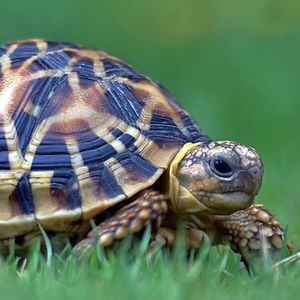 nicedicefr649 avatar