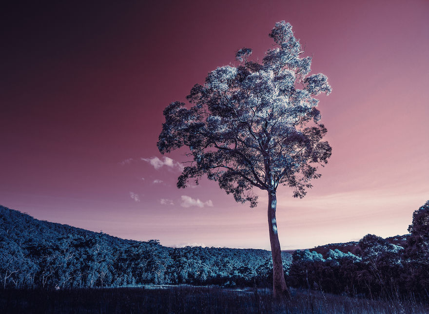 I Enjoy Being Lost In The Blue Mountains With My Camera