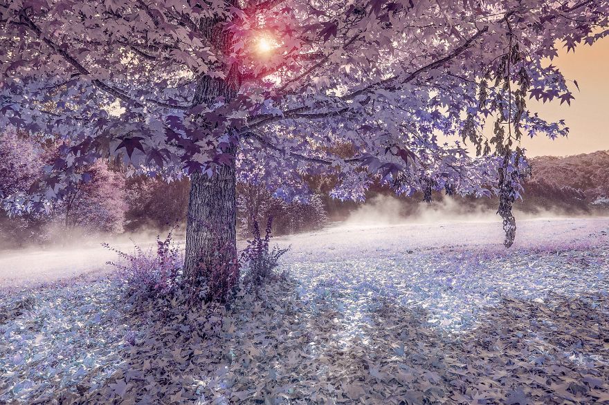 I Enjoy Being Lost In The Blue Mountains With My Camera