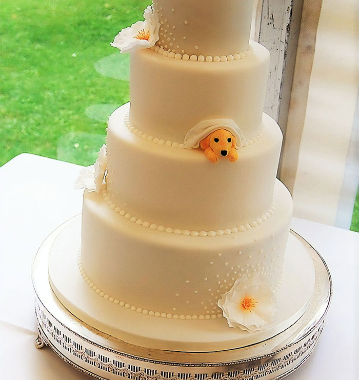 Las parejas han encontrado un modo de incluir a sus mascotas en su boda, y es genial