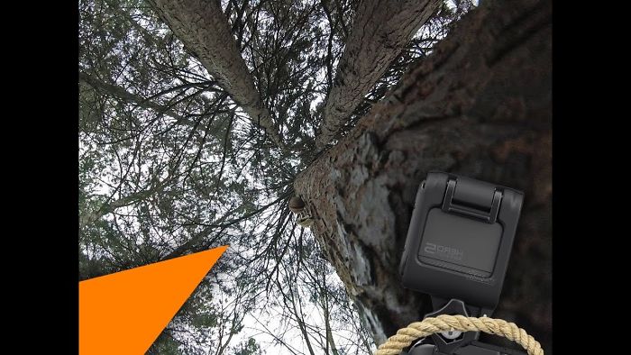 I Tied My Gopro To A Tree In The Forest, I Put The Bait And Waited. What Happened After… Wow