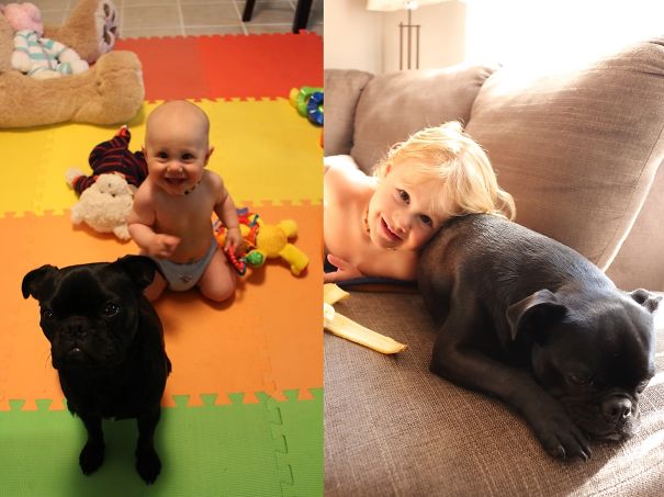 Brothers Since The Beginning! (Django (Dog) Has A Resting Sad Face)