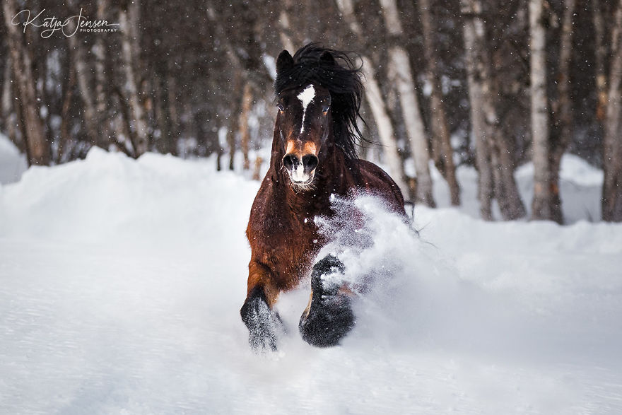 Bringing My Childhood Dreams To Life Bringing My Childhood Dreams To Life