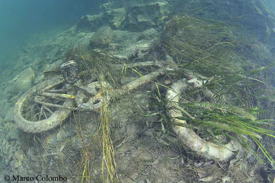 Pollution Is One Of The Worst Problems For Rivers And Lakes