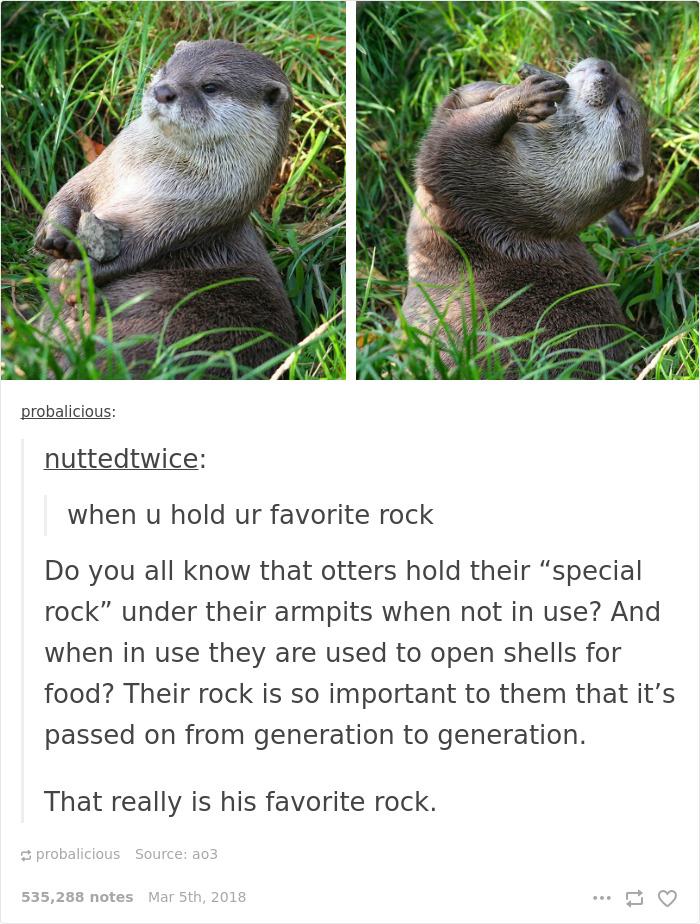 When You Hold Your Favorite Rock