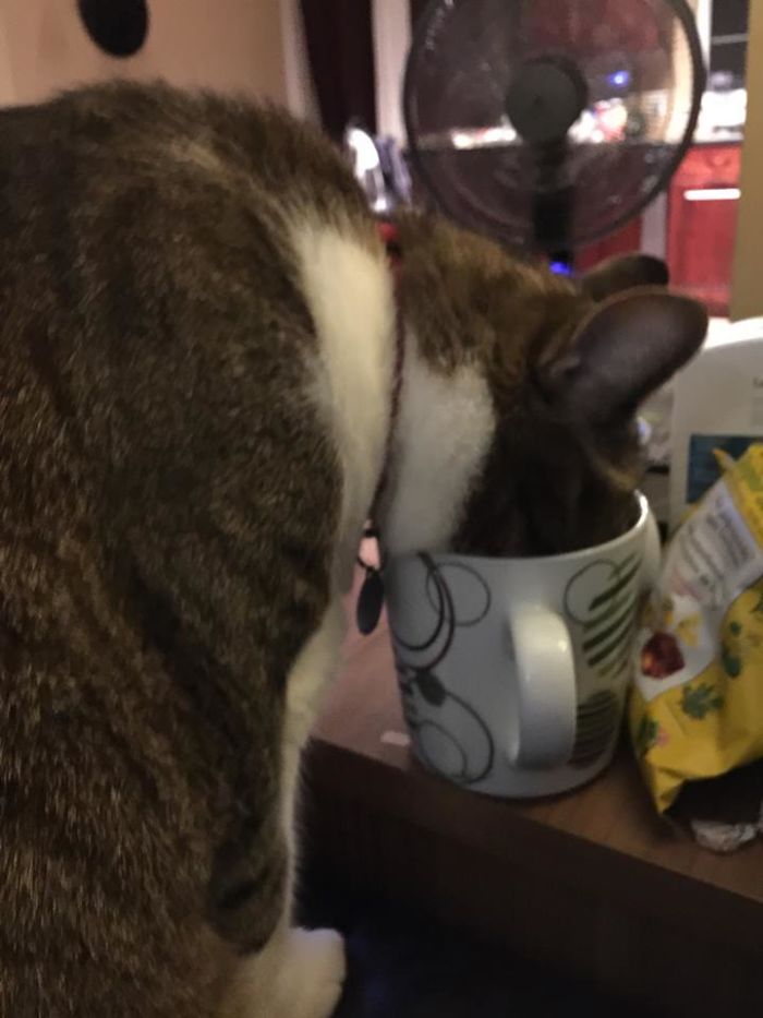 Oh, This Is Your Drink?