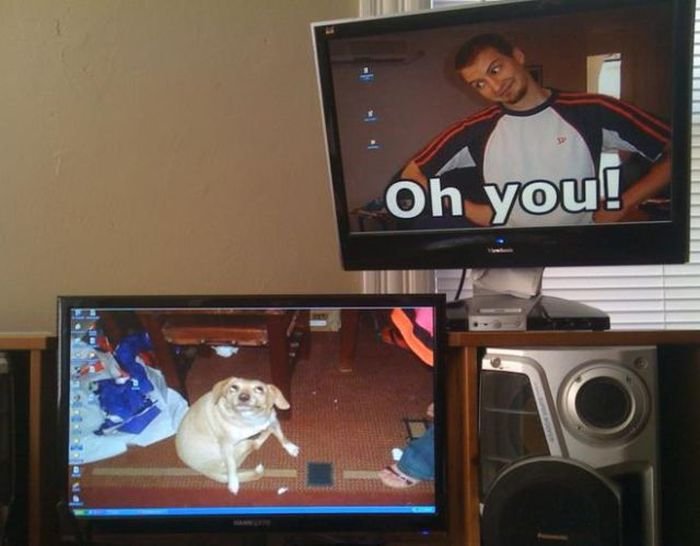 Genius desktop wallpaper featuring a playful dog on one screen and a humorous "Oh you!" expression on another monitor.