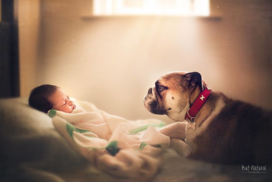 After My Dog Died Last Year I Swore I Won't Ever Get A Pet Again Until I Started Taking These Images.