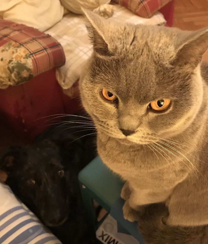 Are You Eating A Tuna Sandwich?