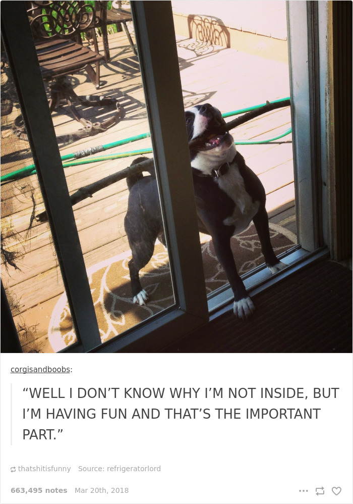 It's All About Having Fun