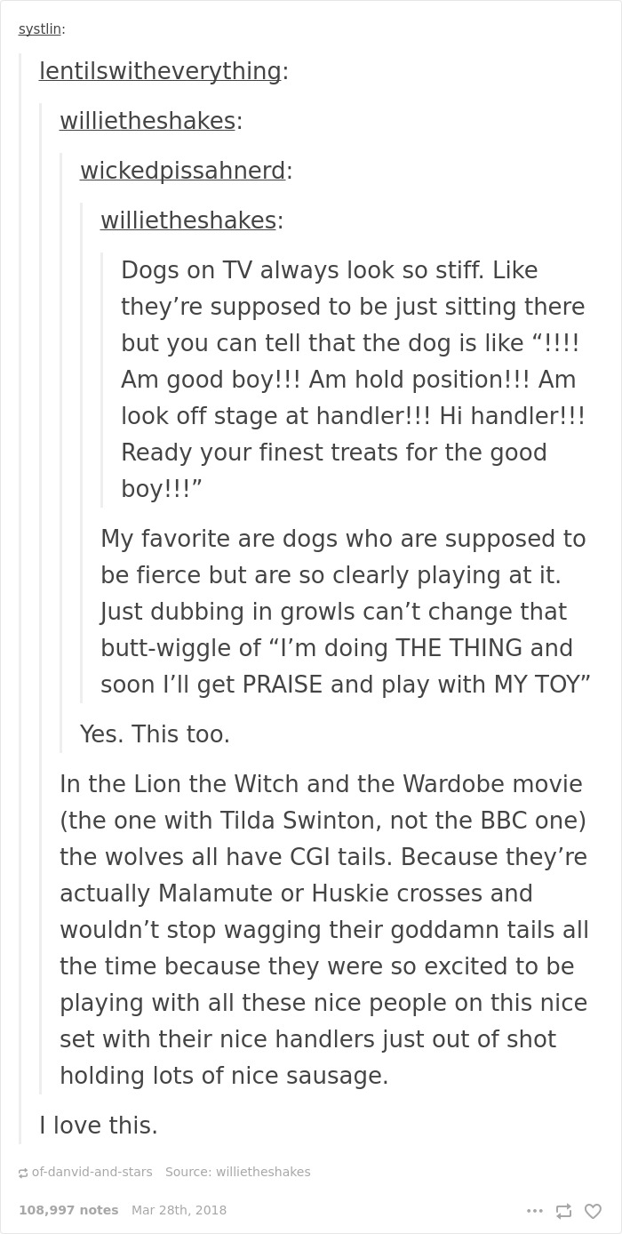 This Is Literally The Most Wholesome Thing I've Seen