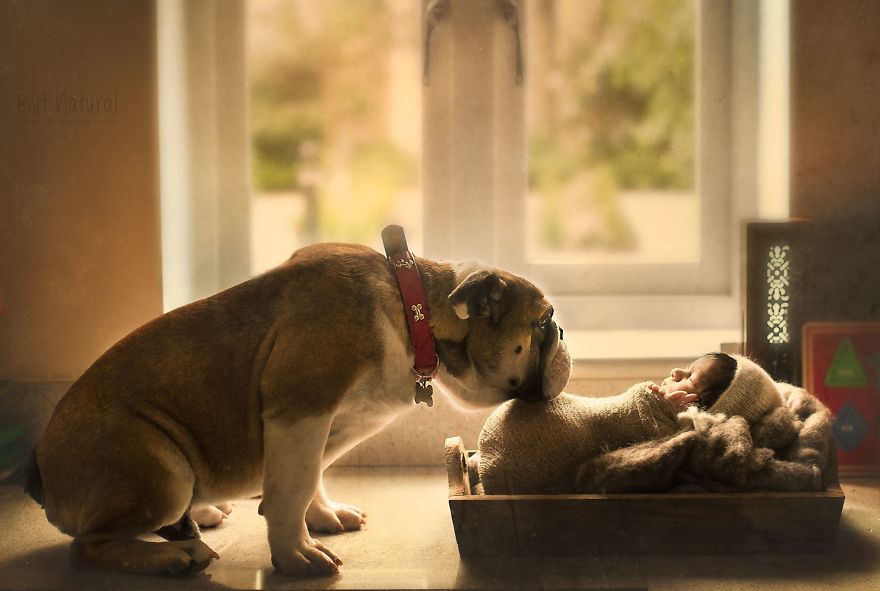 After My Dog Died Last Year I Swore I Won't Ever Get A Pet Again Until I Started Taking These Images.