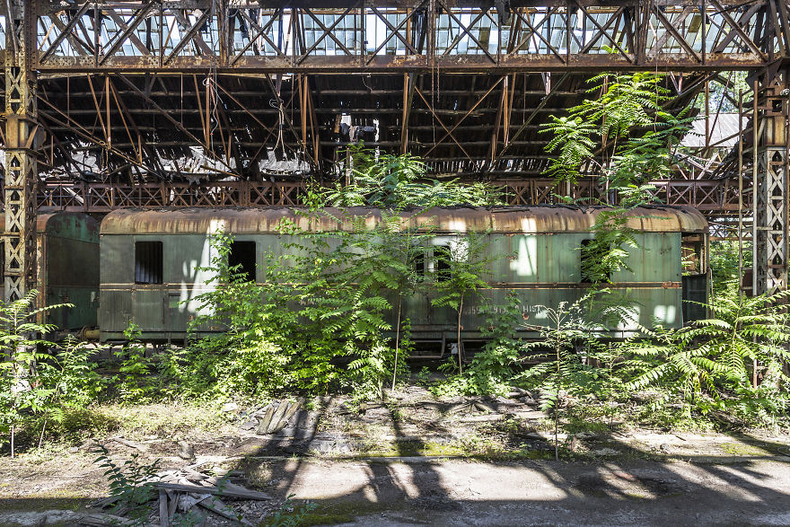 I Travel The World To Capture Amazing Pictures Of Nature Taking Back Abandoned Places