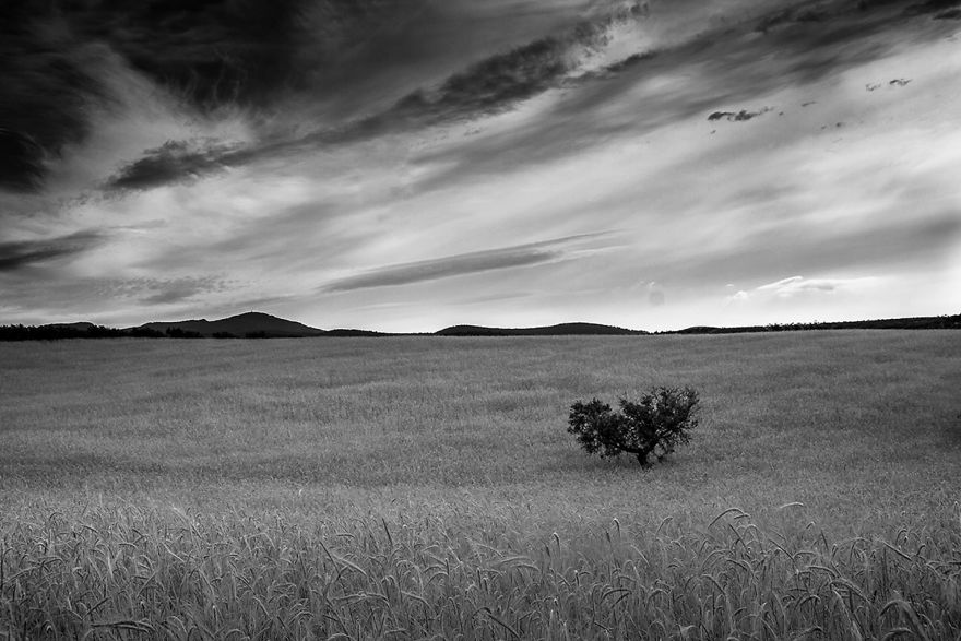 I Photograph The People Of The Hills I Photograph The People Of The Hills