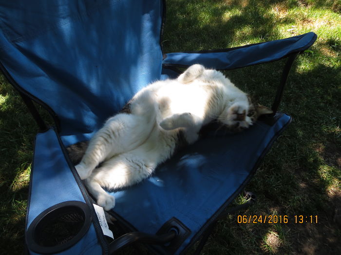 I Love This Chair And Somebody Stole It!