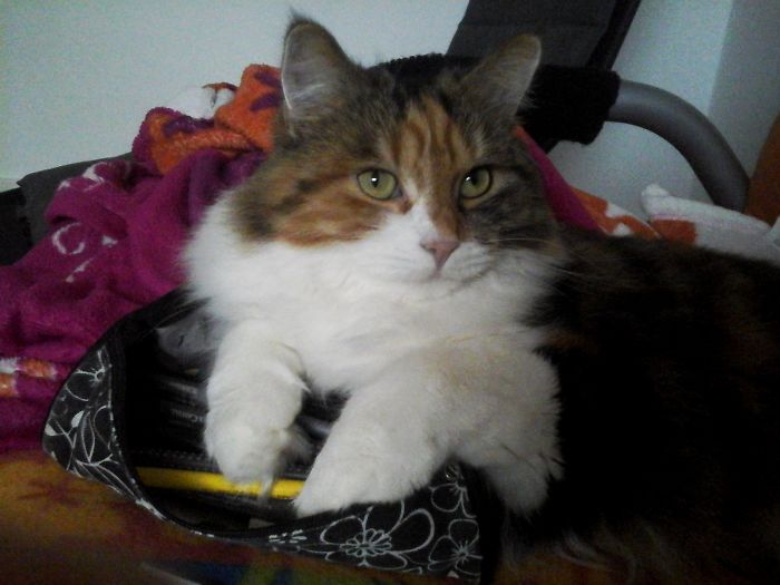 You Cannot Draw Now...