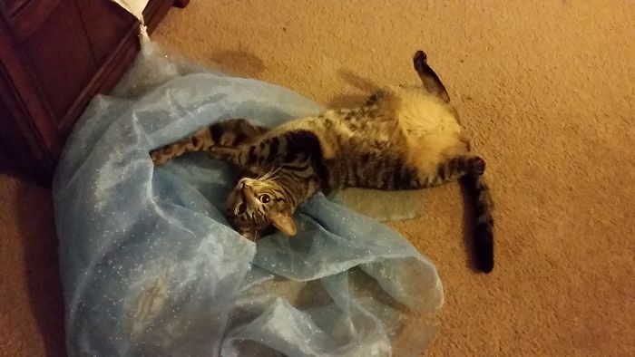 Yes I Tore This Up...now Check Out My Bits And Pieces