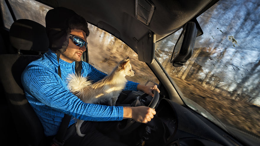 My Hero: Puppy - The Hungarian Dog