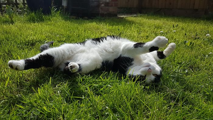 Sun Was Out For 30 Seconds!