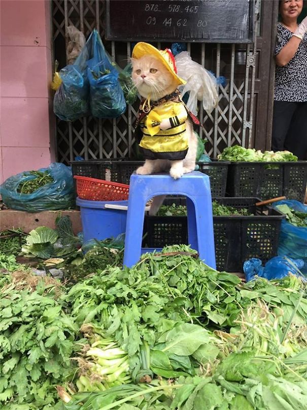 Meet The Cutest Fish Vendor In Vietnam Who Is Taking The Internet By Storm With His Adorable Pics Meet The Cutest Fish Vendor In Vietnam Who Is Taking The Internet By Storm With His Adorable Pics