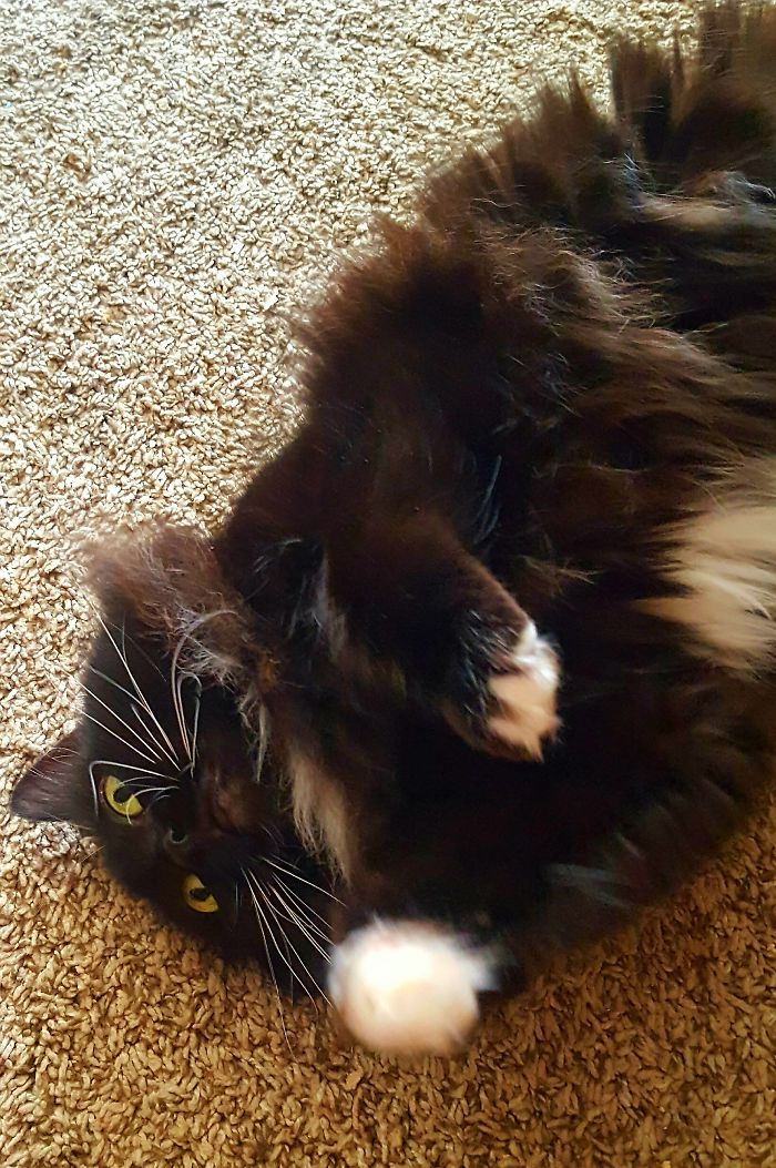 Juliette Of Evansville, Indiana