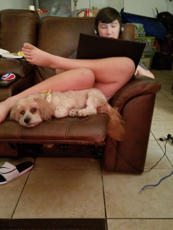 Working On Homework Together.