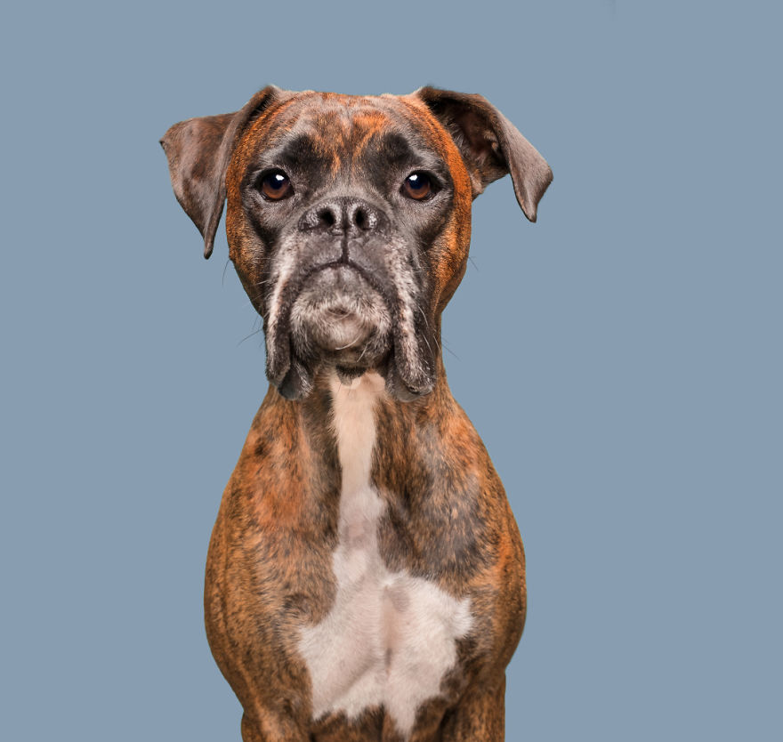 Very Disappointed Cooper