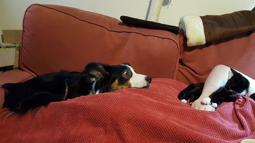 Loki & Thor Loki & Thor