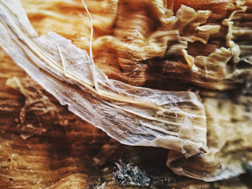 I Make The Unique Macrofood Photo Project Just With An Iphone I Make The Unique Macrofood Photo Project Just With An Iphone