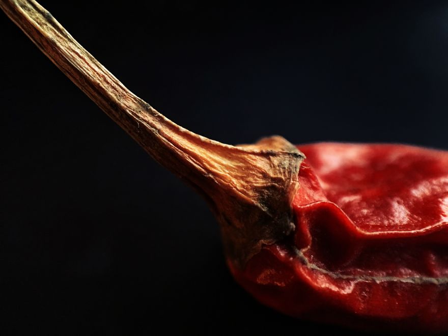 I Make The Unique Macrofood Photo Project Just With An Iphone I Make The Unique Macrofood Photo Project Just With An Iphone