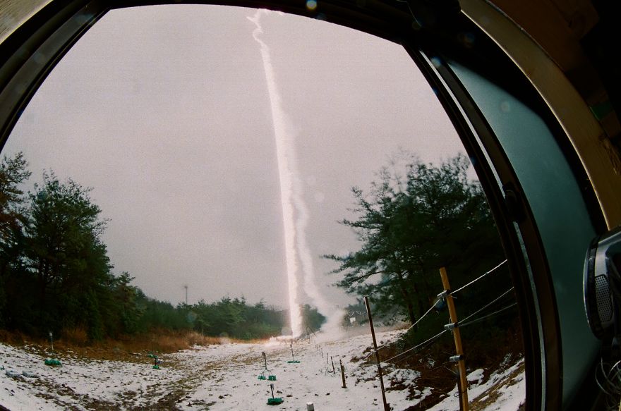 I Used The Power Of Nature To Create These Paintings I Used The Power Of Nature To Create These Paintings