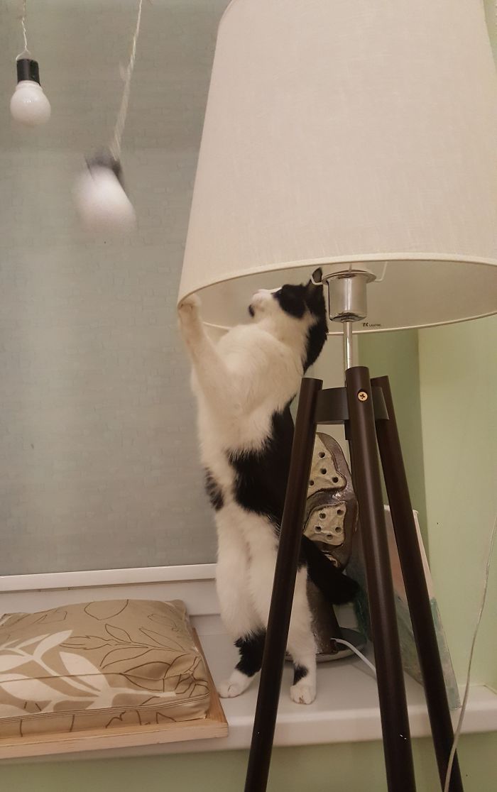 Just Fixing The Lamp.