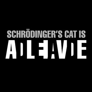 mirandajgallegos avatar