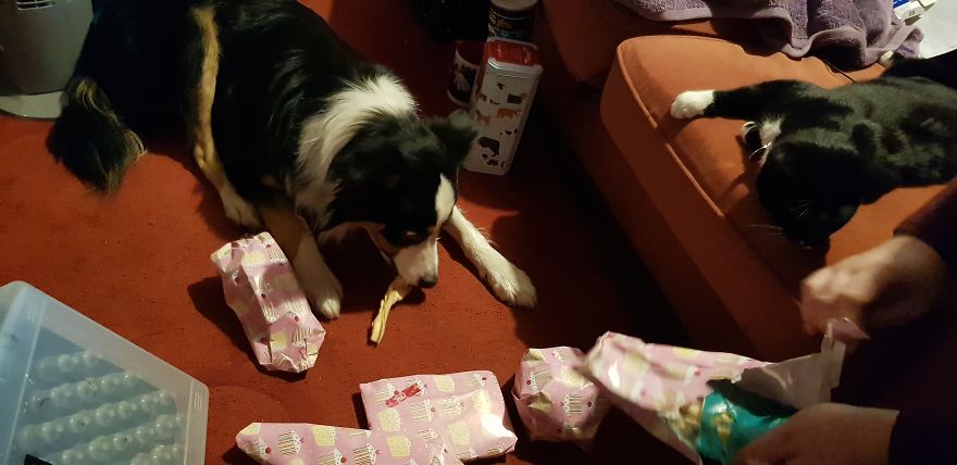 Loki & Thor Loki & Thor