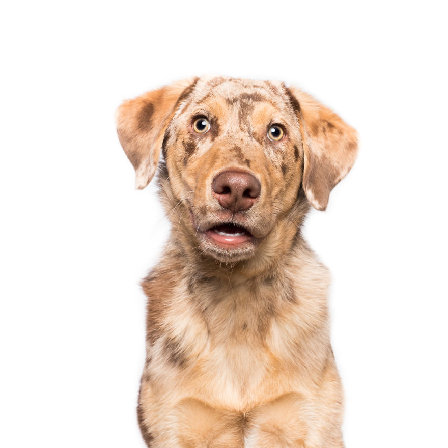 Flabbergasted Finlay