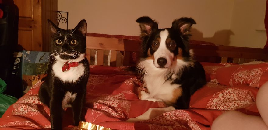 Loki & Thor Loki & Thor