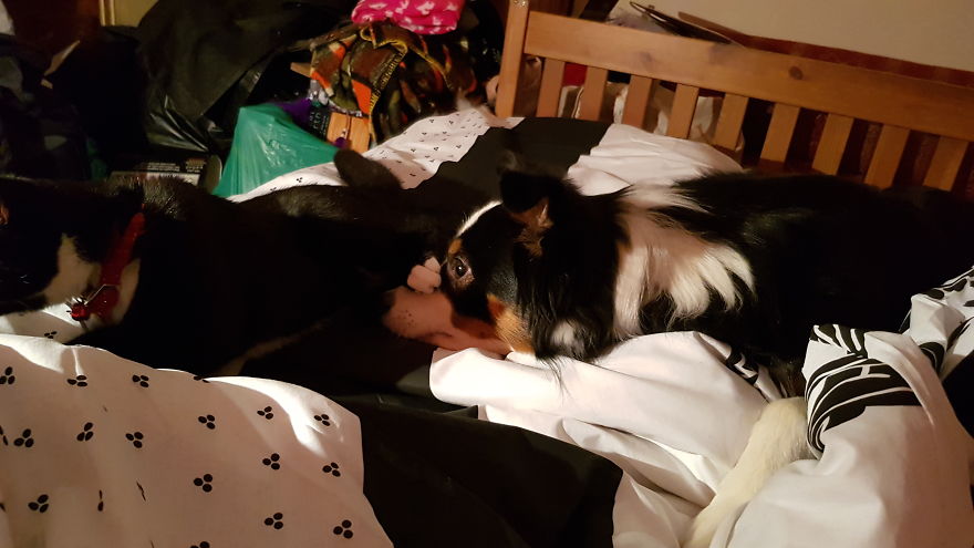 Loki & Thor Loki & Thor