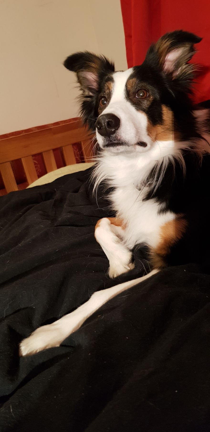 Loki & Thor Loki & Thor