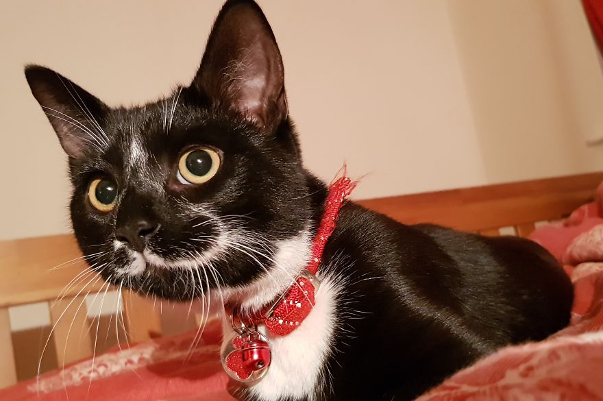 Loki & Thor Loki & Thor