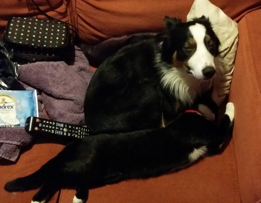 Loki & Thor Loki & Thor