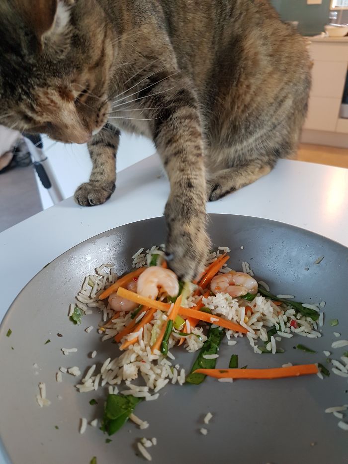 Every. Single. Meal.