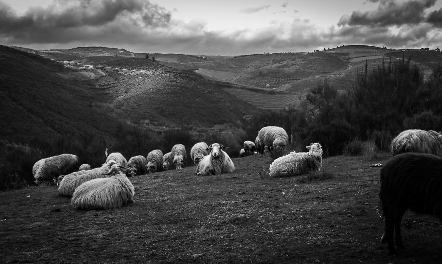 I Photograph The People Of The Hills I Photograph The People Of The Hills