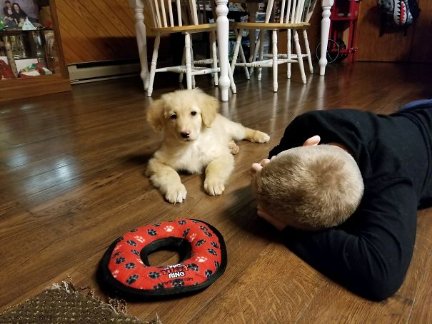 Our New Girl Nala And Her 10 Year Old Brother