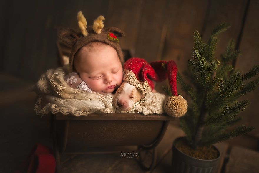 After My Dog Died Last Year I Swore I Won't Ever Get A Pet Again Until I Started Taking These Images.