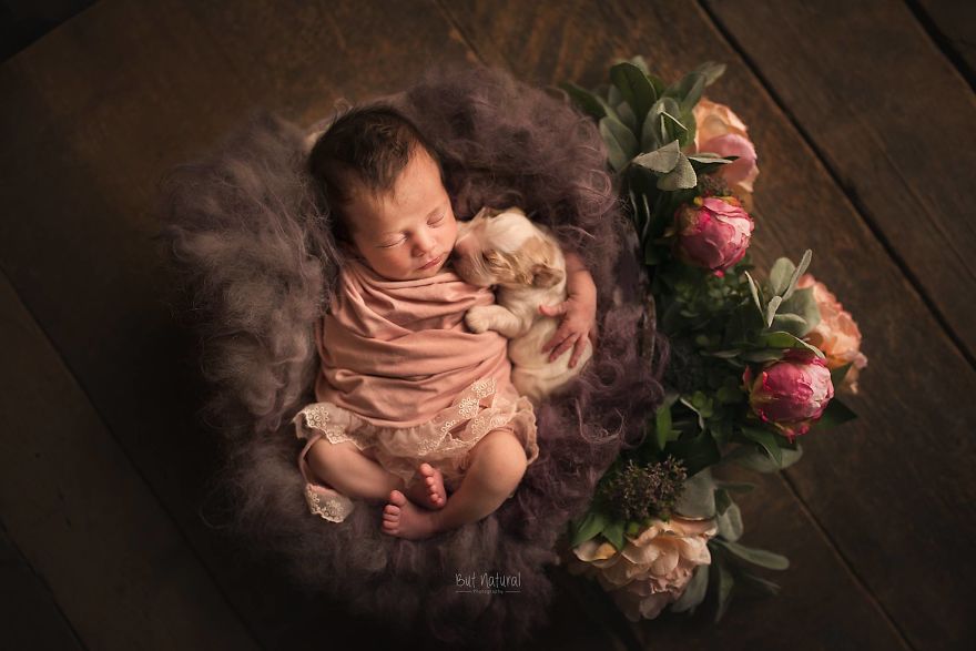 After My Dog Died Last Year I Swore I Won't Ever Get A Pet Again Until I Started Taking These Images.