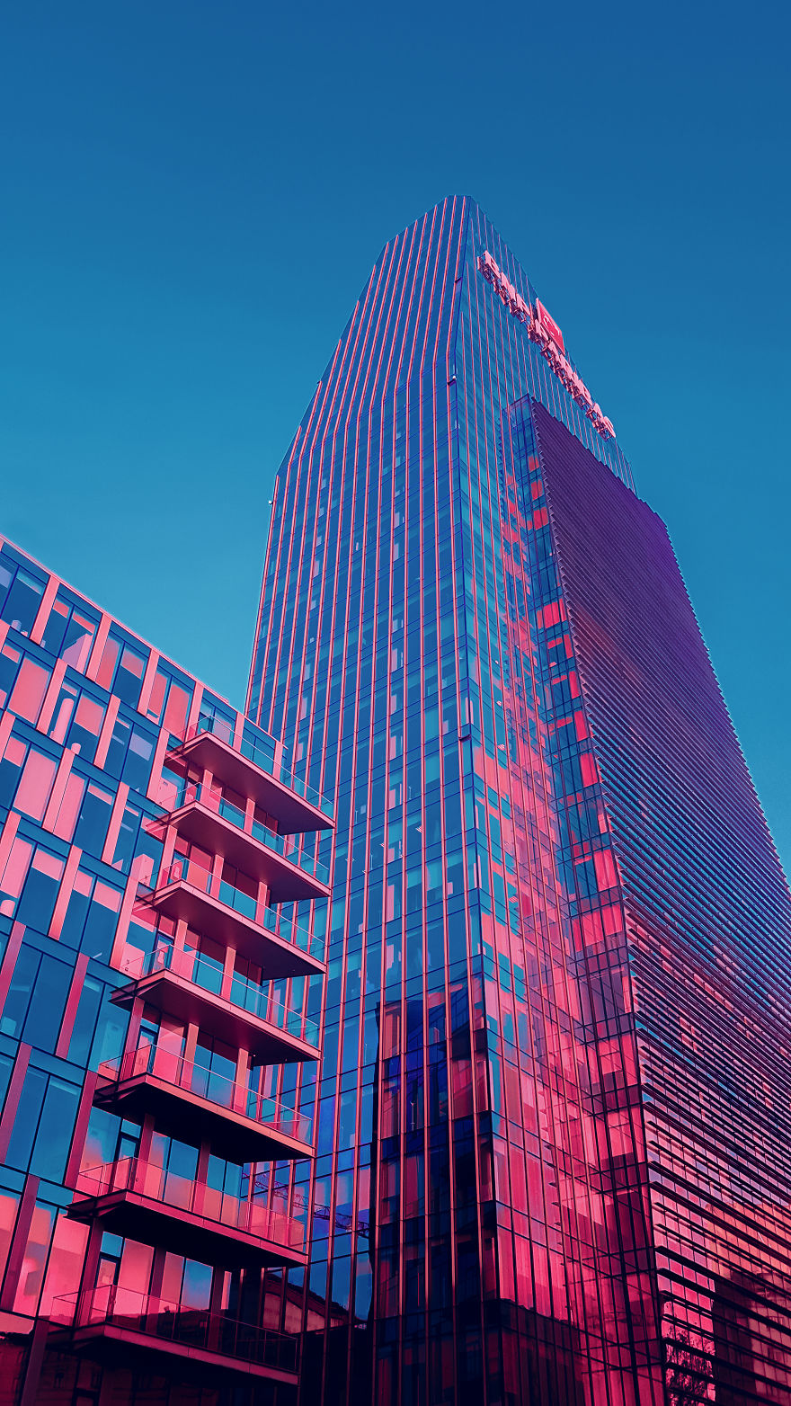 I Took These Pictures With A Smartphone And The Result Is Just Incredible I Took These Pictures With A Smartphone And The Result Is Just Incredible